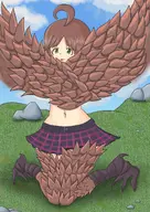 artist:Unknown character:Harpy_(Monster_Girl_Dreams) series:Monster_Girl_Dreams Solo type:Shaded // 1446x2039 // 2.8MB